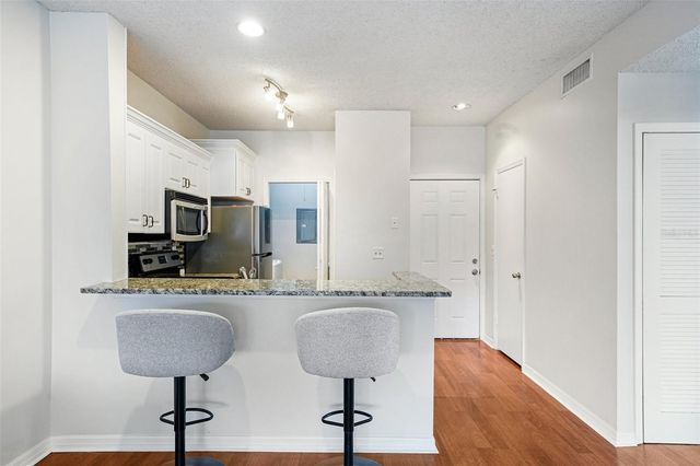 4211 CHATHAM OAK COURT 123, Tampa, FL 33624