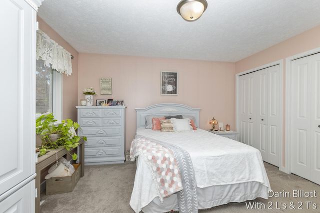 171 Foxtail Drive, Ionia, MI 48846