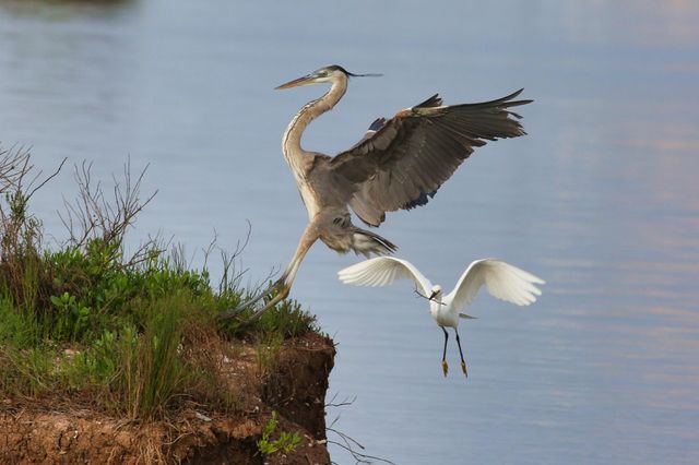 6194 S South Shore Street, Sargent, TX 77414