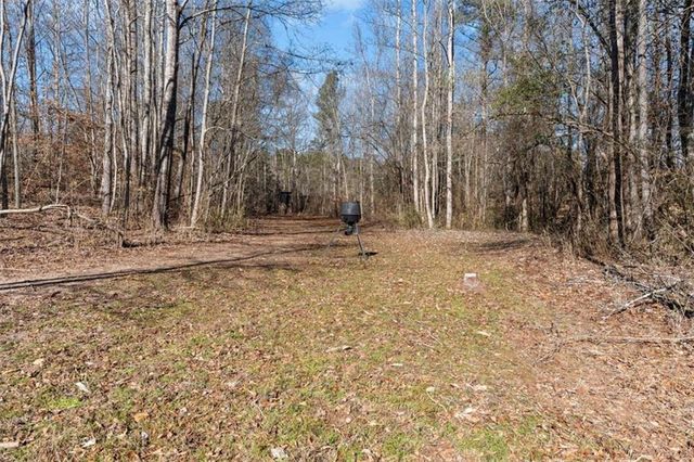 80 Hand Road, Bowdon, GA 30108