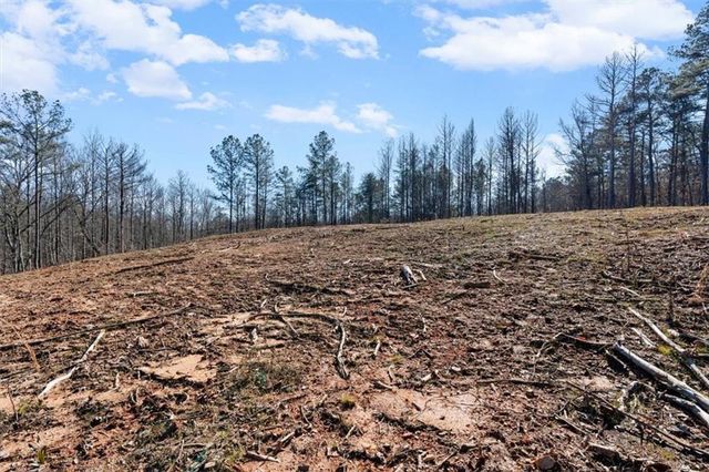 80 Hand Road, Bowdon, GA 30108