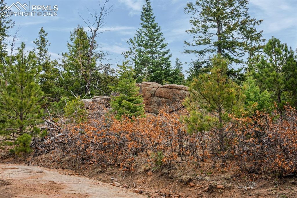Unknown NA, Penrose, CO 81240 — photo 5