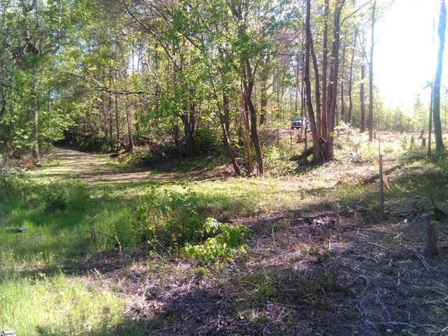 91 Emma Drive, Campobello, SC 29322