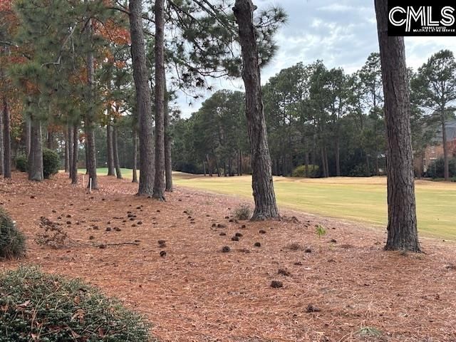 314 Turkey Point Circle, Columbia, SC 29223