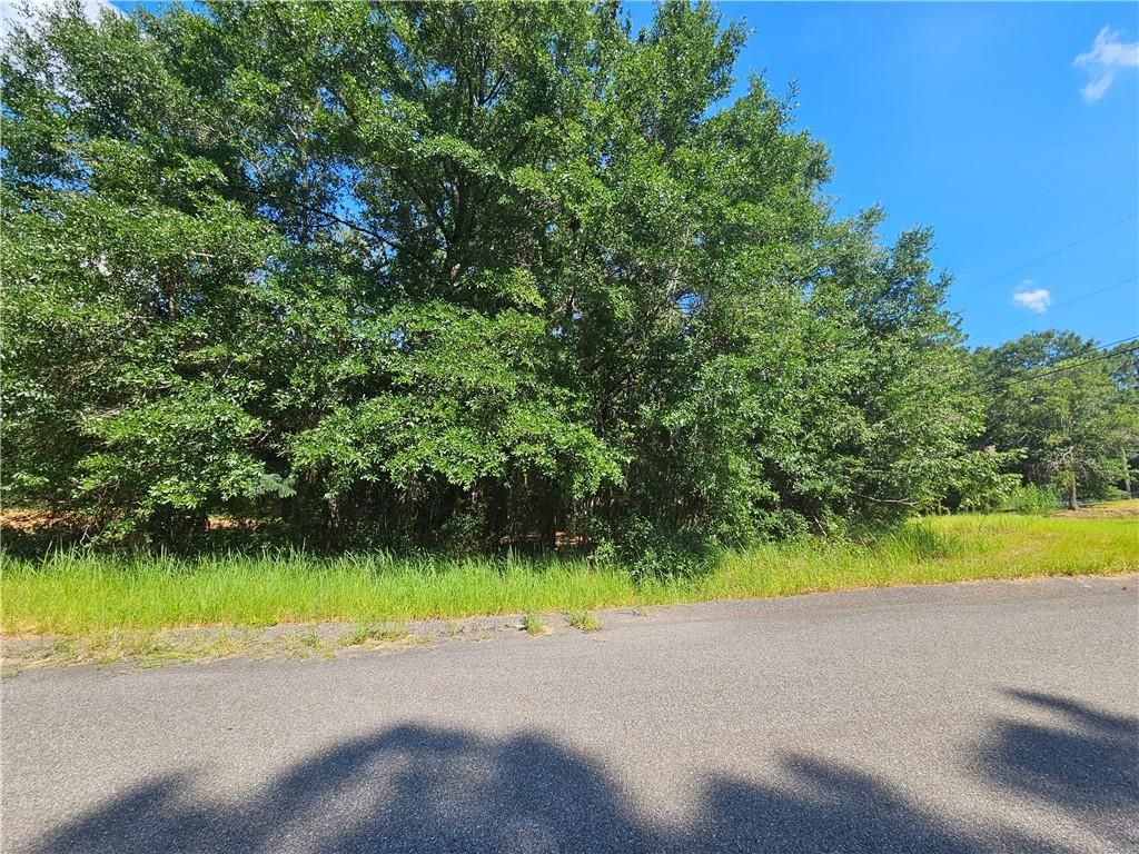 0 Richard Lane, Eight Mile, AL 36613 — photo 2