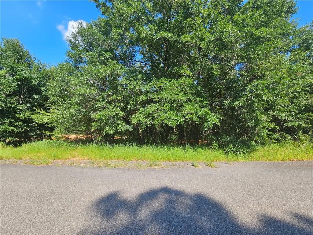 0 Richard Lane, Eight Mile, AL 36613 — photo 3