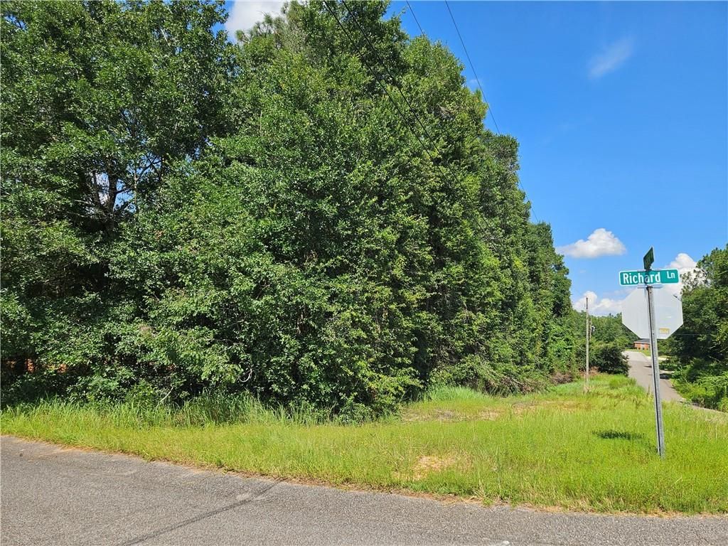 0 Richard Lane, Eight Mile, AL 36613 — photo 4