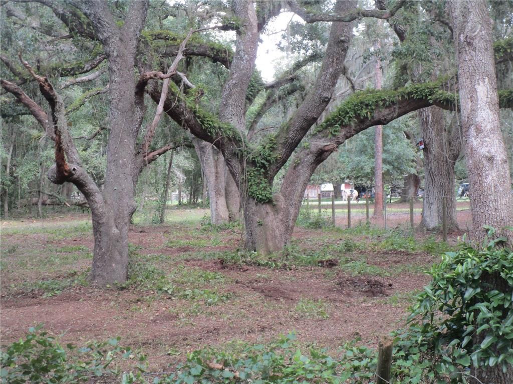 00 CASTLEWOOD ROAD, Seffner, FL 33584