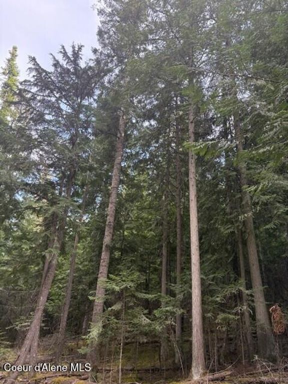 TBD Big Buck Rd, Bayview, ID 83803