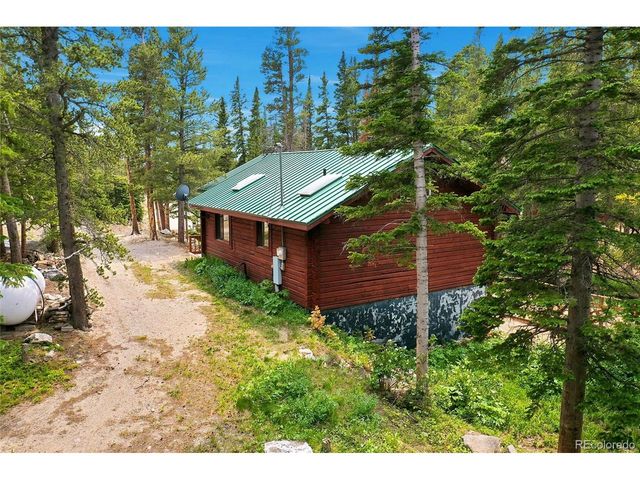 353 Brook Dr, Idaho Springs, CO 80452