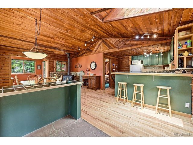 353 Brook Dr, Idaho Springs, CO 80452