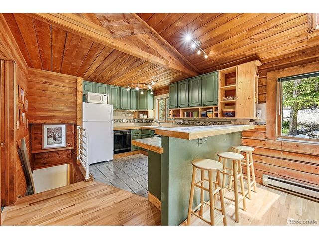 353 Brook Dr, Idaho Springs, CO 80452