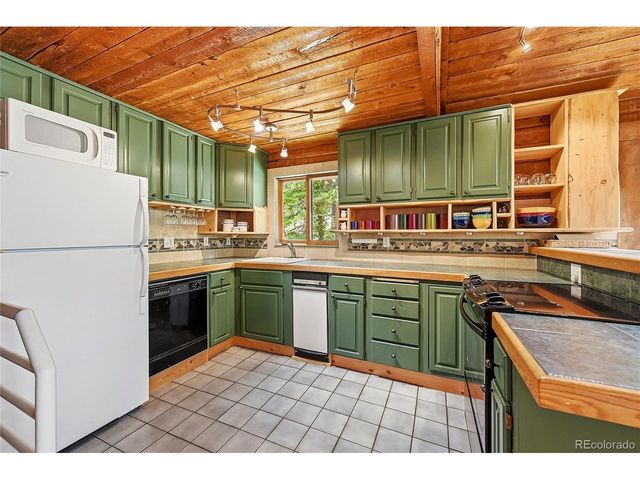 353 Brook Dr, Idaho Springs, CO 80452