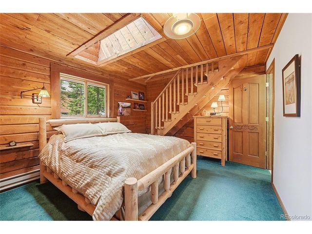 353 Brook Dr, Idaho Springs, CO 80452