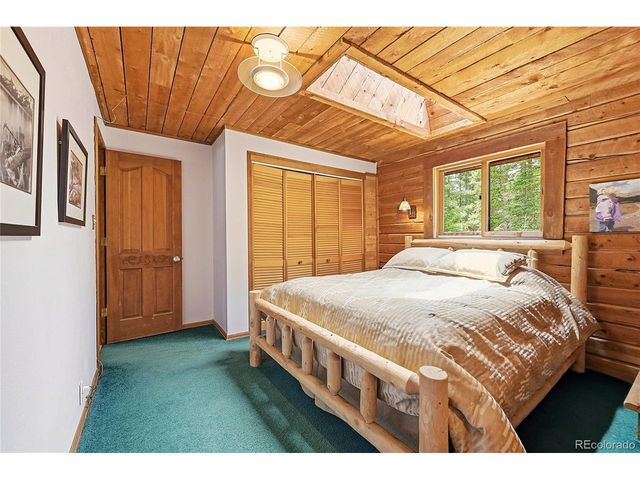 353 Brook Dr, Idaho Springs, CO 80452