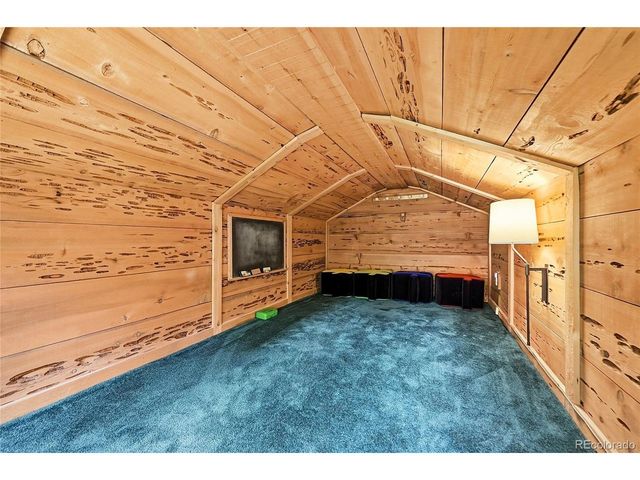 353 Brook Dr, Idaho Springs, CO 80452