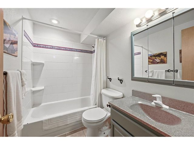 353 Brook Dr, Idaho Springs, CO 80452