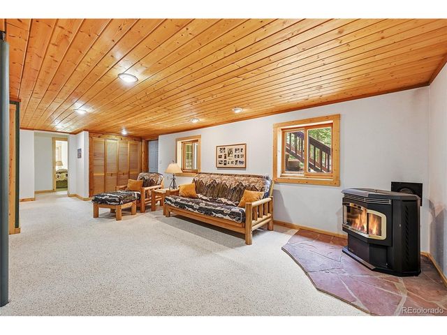 353 Brook Dr, Idaho Springs, CO 80452