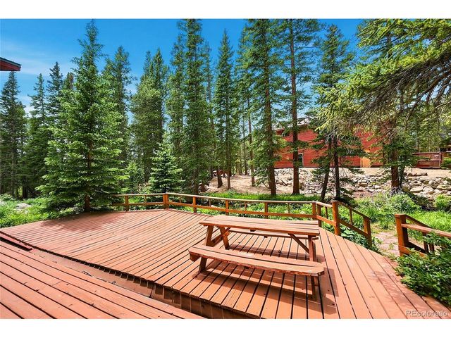 353 Brook Dr, Idaho Springs, CO 80452