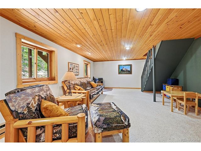 353 Brook Dr, Idaho Springs, CO 80452