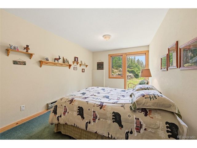 353 Brook Dr, Idaho Springs, CO 80452