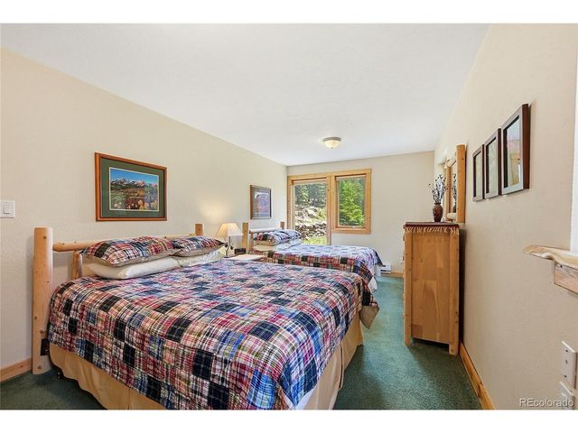 353 Brook Dr, Idaho Springs, CO 80452