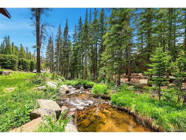 353 Brook Dr, Idaho Springs, CO 80452