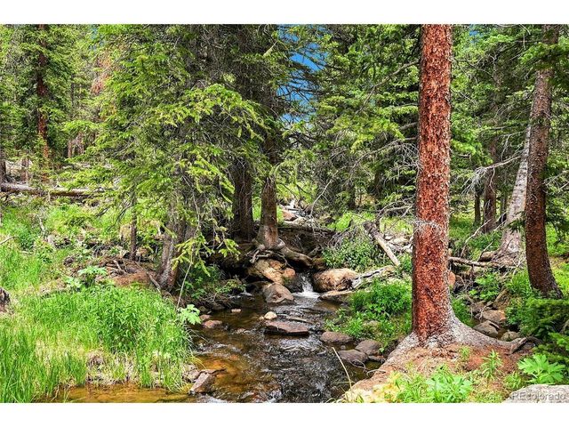 353 Brook Dr, Idaho Springs, CO 80452