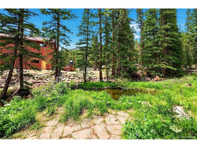 353 Brook Dr, Idaho Springs, CO 80452