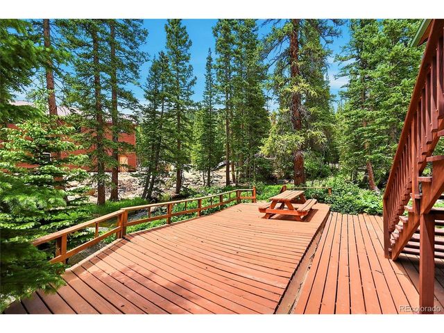 353 Brook Dr, Idaho Springs, CO 80452