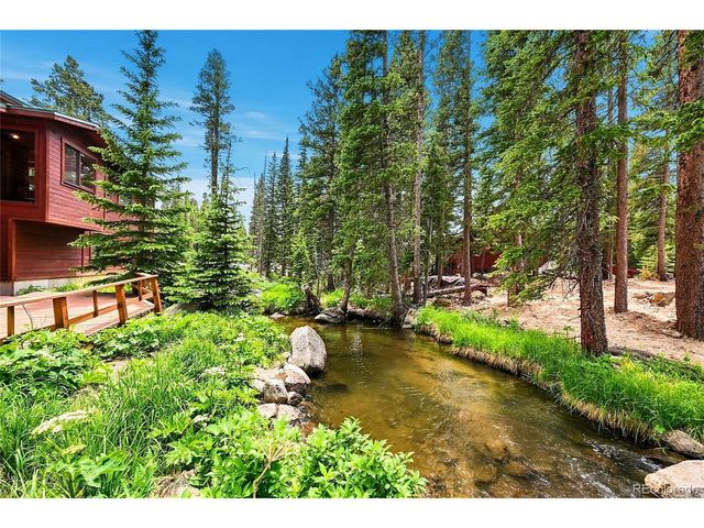 353 Brook Dr, Idaho Springs, CO 80452