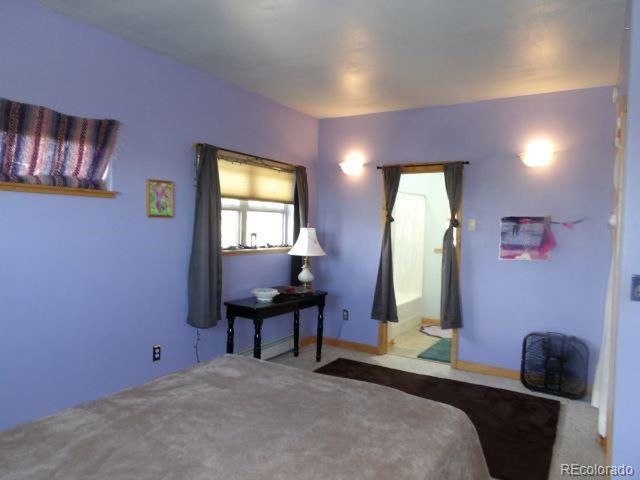 2720 N Carefree Way, Crestone, CO 81131