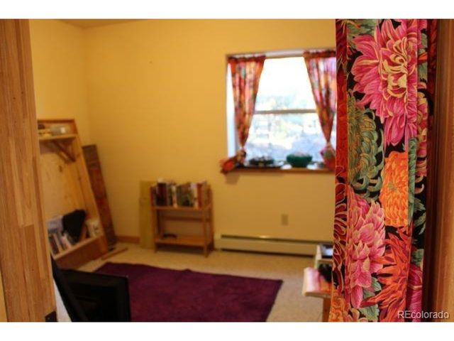 2720 N Carefree Way, Crestone, CO 81131