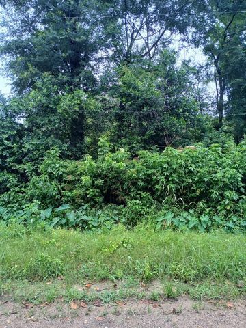 301 Hensley Lane, Shepherd, TX 77371