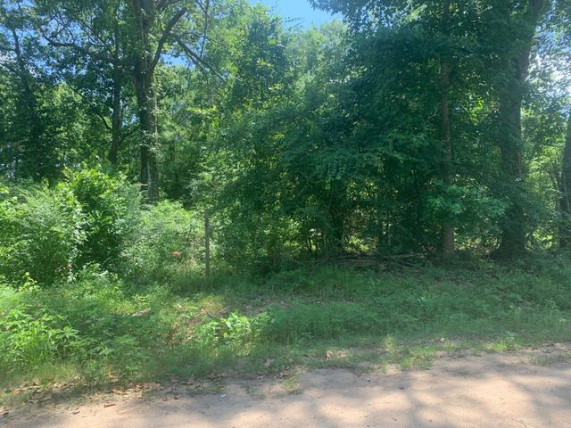 301 Hensley Lane, Shepherd, TX 77371