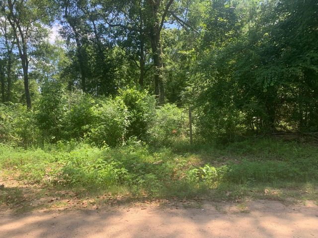 301 Hensley Lane, Shepherd, TX 77371