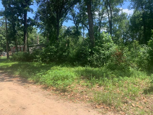 301 Hensley Lane, Shepherd, TX 77371