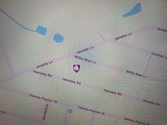 301 Hensley Lane, Shepherd, TX 77371