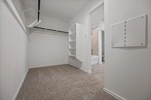 24346 Elmwood Falls Drive, Spring, TX 77373