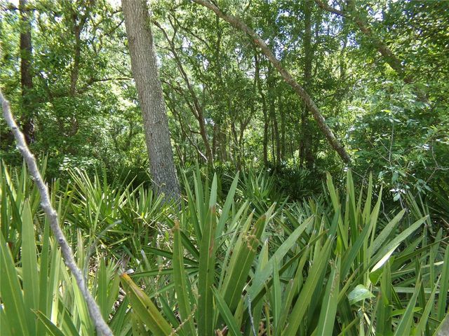 00 CASHEW DRIVE, Webster, FL 33597