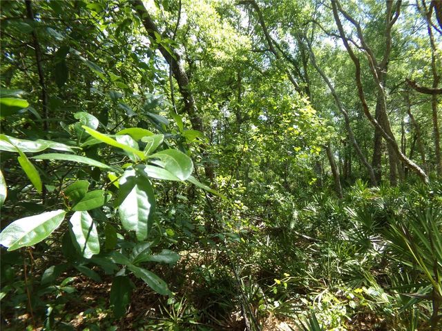 00 CASHEW DRIVE, Webster, FL 33597