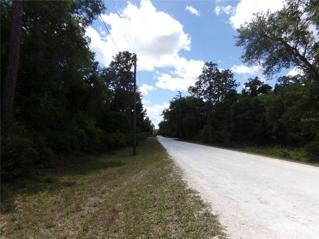00 CASHEW DRIVE, Webster, FL 33597