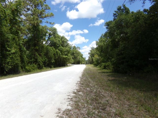 00 CASHEW DRIVE, Webster, FL 33597