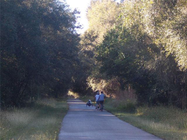 00 CASHEW DRIVE, Webster, FL 33597