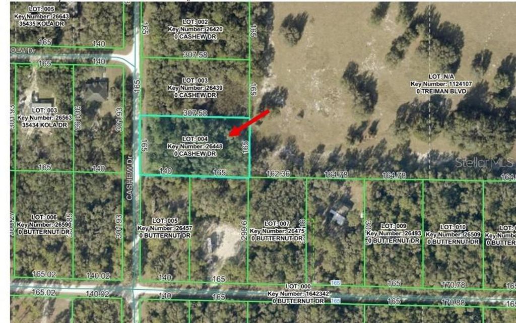 00 CASHEW DRIVE, Webster, FL 33597
