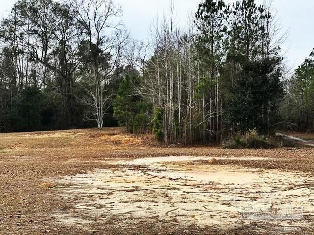 8800 N Century Blvd, Century, FL 32535