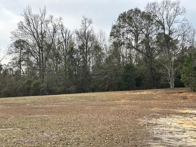 8800 N Century Blvd, Century, FL 32535