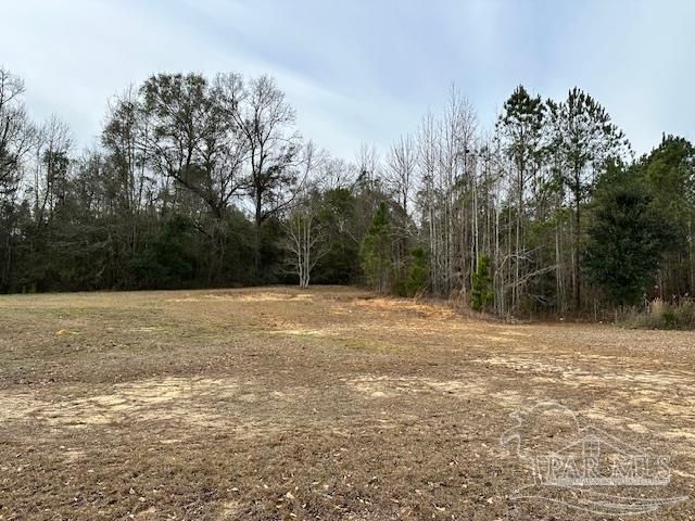 8800 N Century Blvd, Century, FL 32535