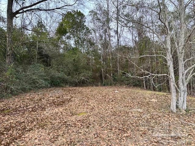 8800 N Century Blvd, Century, FL 32535