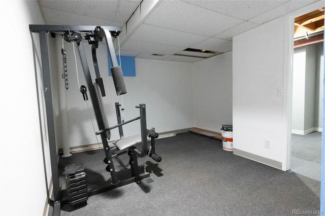 1517 S Owens Street 5, Denver, CO 80232